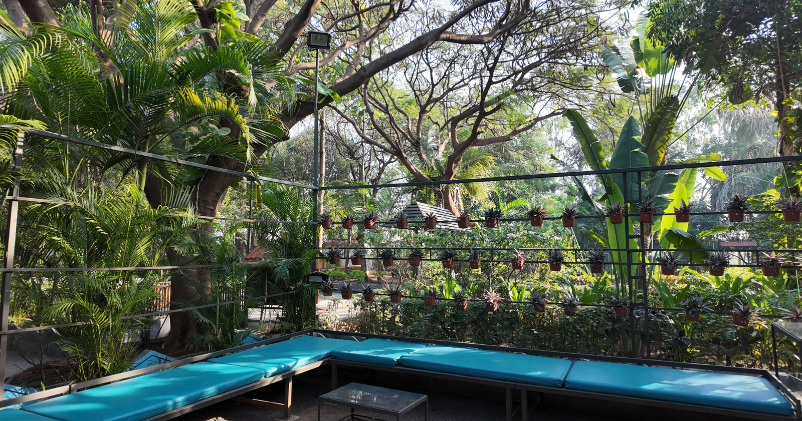 Bonfire nights at Marbella Farms and Resort