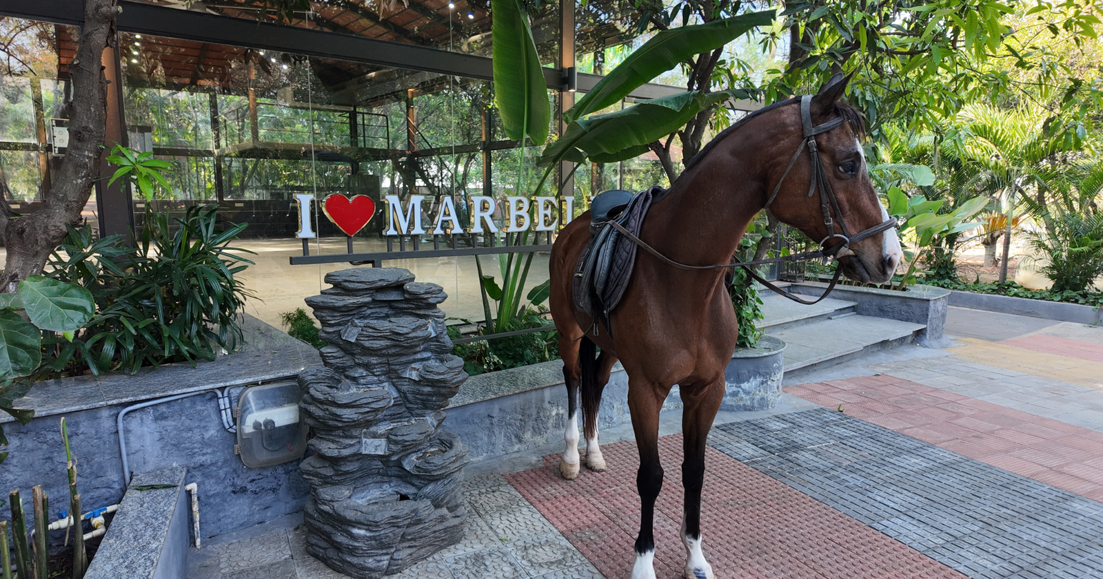 Horse riding experience at Marbella Farms and Resort