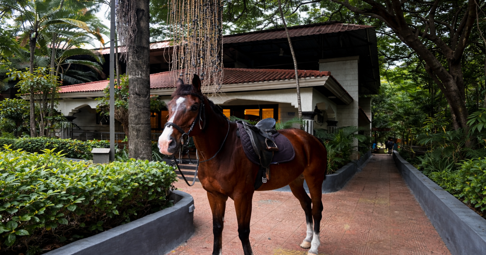Horse riding experience at Marbella Farms and Resort