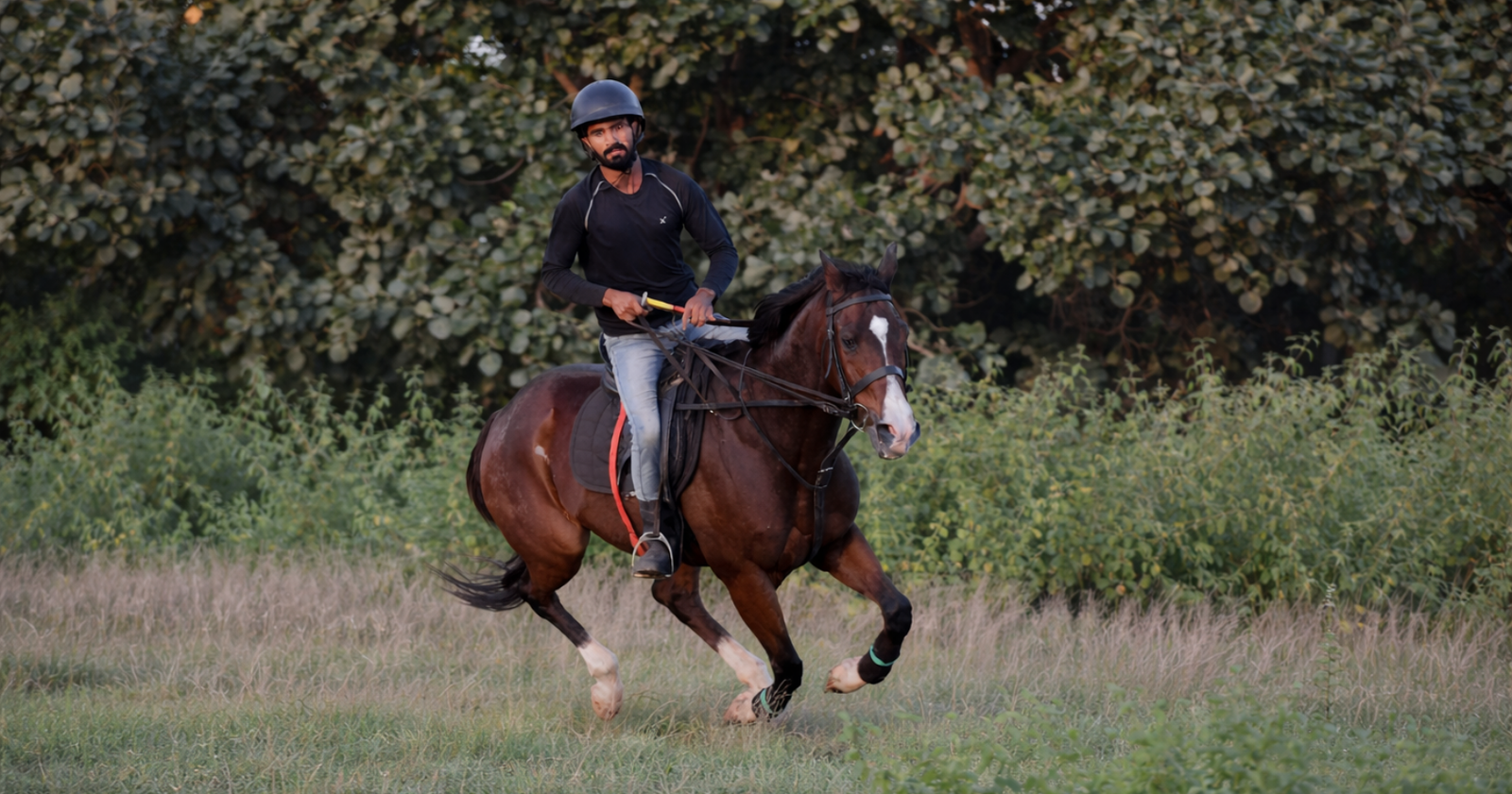 Horse riding experience at Marbella Farms and Resort