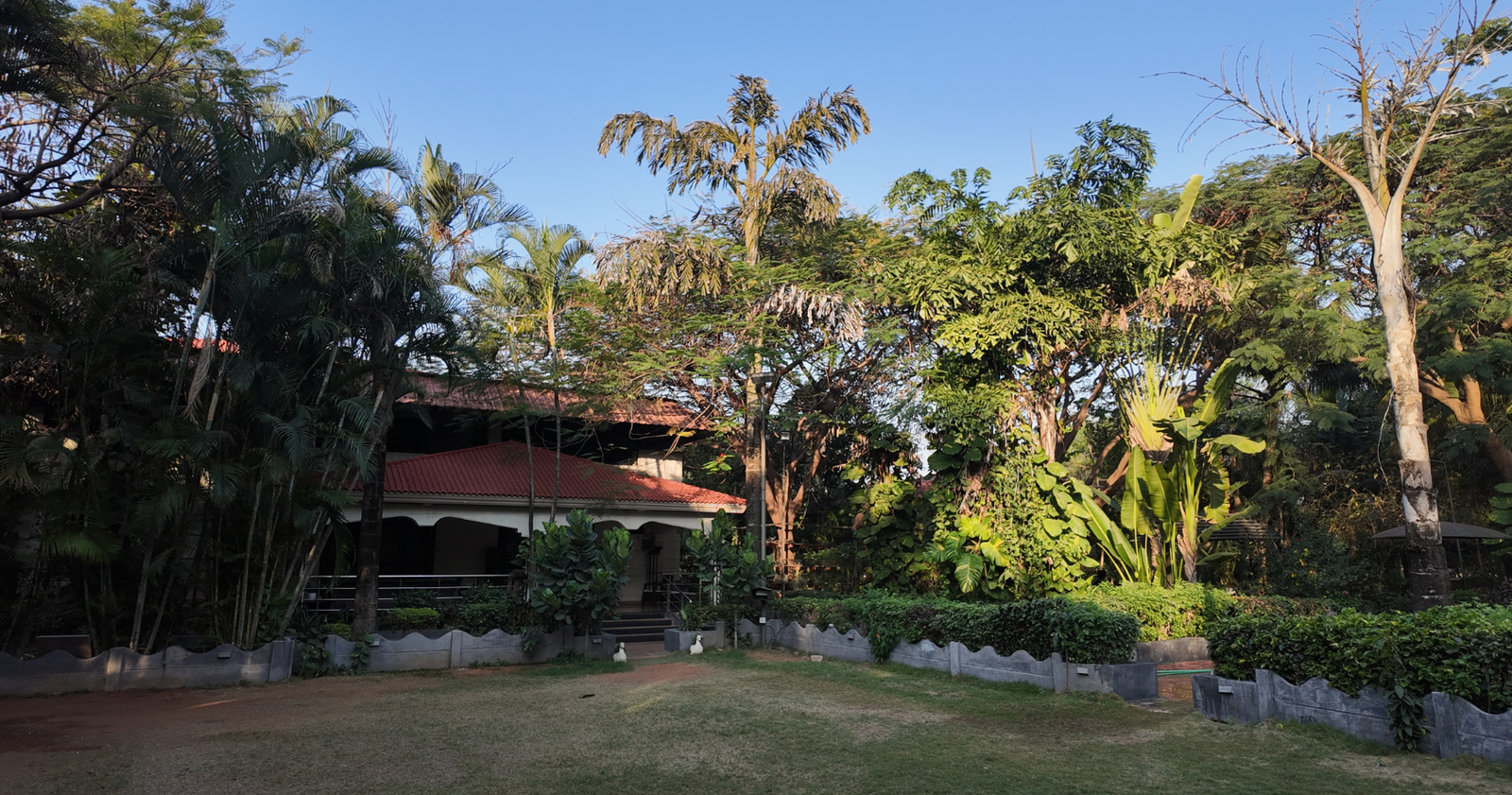 Poolside lawn at Marbella Farms and Resort