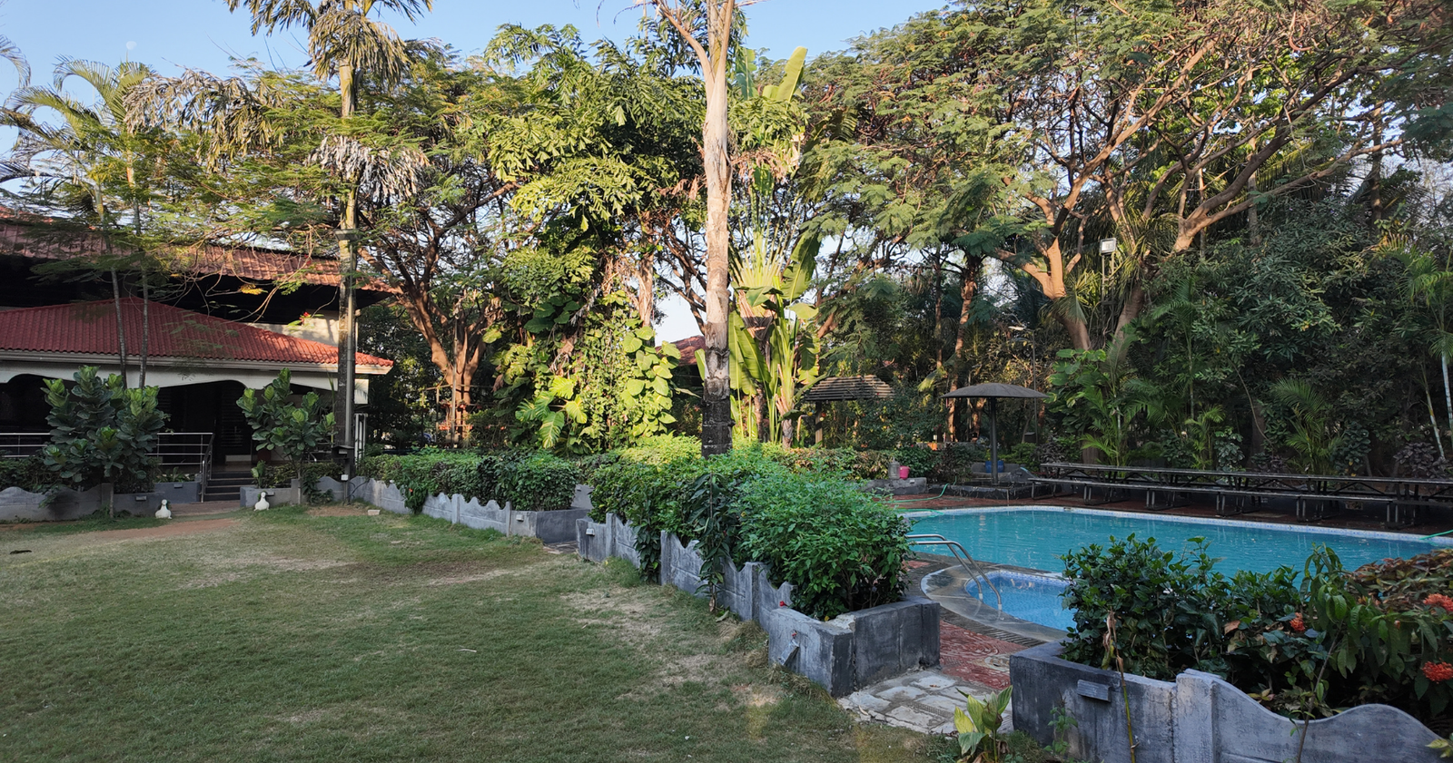 Poolside lawn at Marbella Farms and Resort
