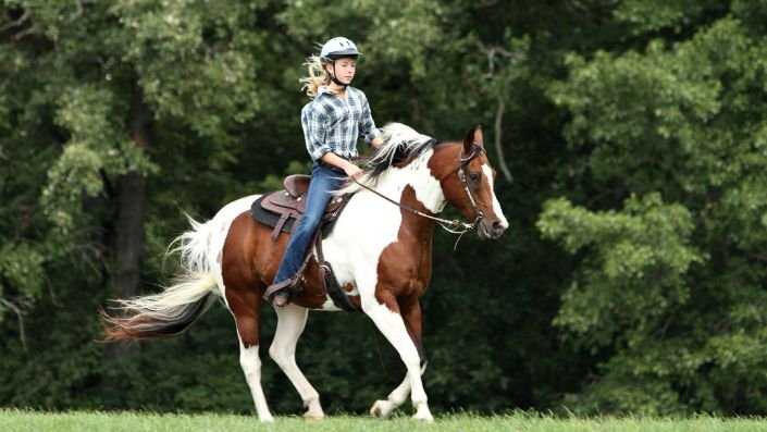 Glass banquet hall with greenery all around